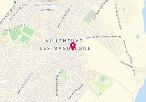 Plan de Institut Agro Montpellier - Domaine du Chapitre, 170 Boulevard du Chapitre, 34750 Villeneuve-lès-Maguelone