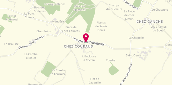 Plan de Cave Cochain, 110 Route du Pineau, 17120 Chenac-Saint-Seurin-d'Uzet