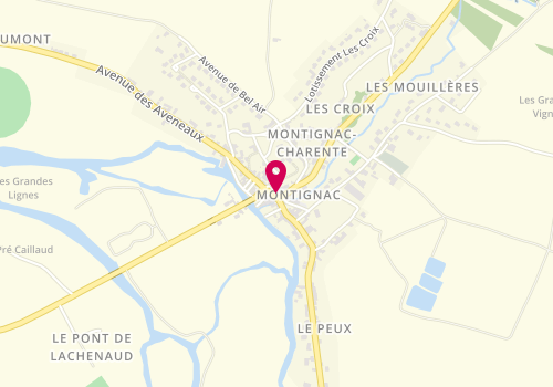 Plan de Délices de Montignac, 1 place des Tours, 16330 Montignac-Charente