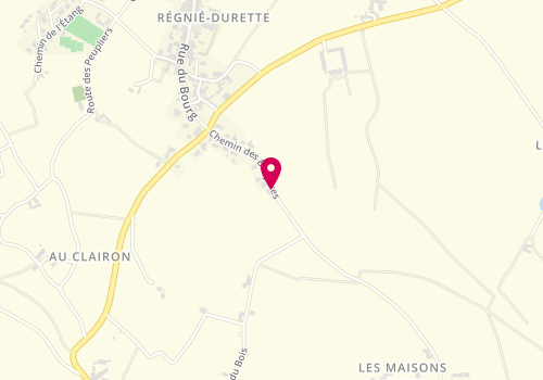 Plan de Régine et Didier COSTE-LAPALUS, 280 chemin des Bruyères, 69430 Régnié-Durette