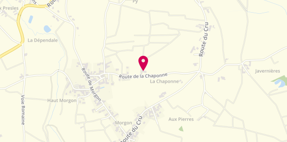 Plan de Domaine Gaget, Côtes du Py
374 Route de la Chaponne, 69910 Villié-Morgon