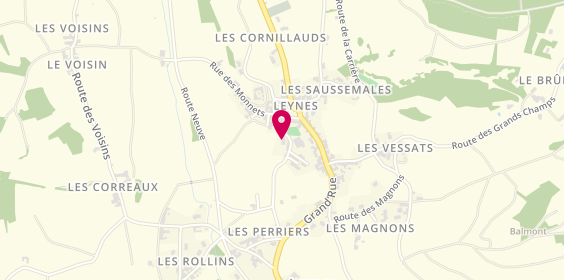 Plan de Domaine Chardigny, 90 chemin du Creux du Vic, 71570 Leynes