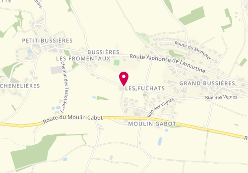 Plan de Domaine du Terroir de Jocelyn, 612 Chemin Fromentaux, 71960 Bussières