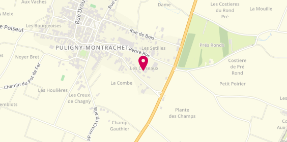 Plan de Domaine Jean Pascal et Fils, 20 Grande Rue, 21190 Puligny-Montrachet