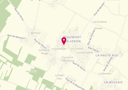 Plan de Loiseau-Jouvault, 16 Rue du Colombier, 37420 Beaumont-en-Véron