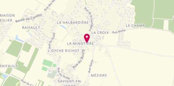 Plan de Domaine Jean-Maurice Raffault, 74 Rue du Bourg, 37420 Savigny-en-Véron