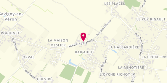 Plan de Domaine du Raifault Julien RAFFAULT, 23 Route de Candes, 37420 Savigny-en-Véron