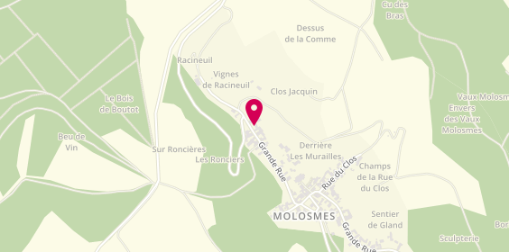 Plan de Domaine Moutard Diligent, 81 Grande Rue, 89700 Molosmes