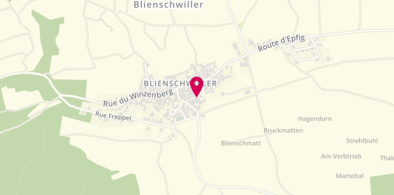Plan de Domaine du Racème, 46 Route des Vins, 67650 Blienschwiller