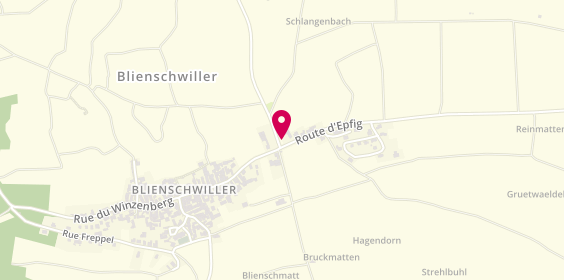 Plan de Domaine Wassler, 1 Route d'Epfig, 67650 Blienschwiller