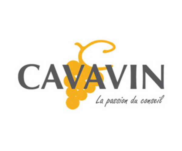 Cavavin