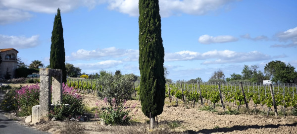 Domaine Croix La Pageze